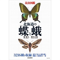 昆虫図鑑　北海道の蝶と蛾