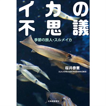 イカの不思議　季節の旅人・スルメイカ