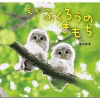 えぞふくろうのきもち商品詳細ページ｜北海道新聞通販ショップ