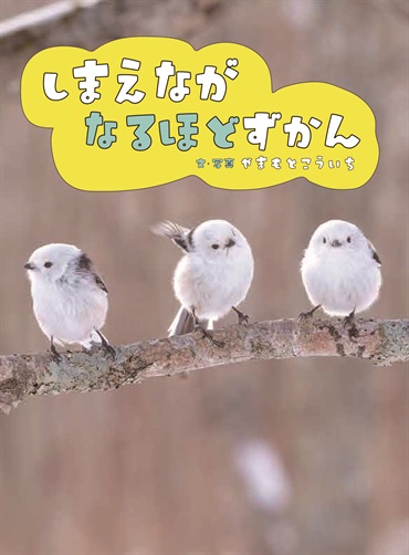 しまえながなるほどずかん