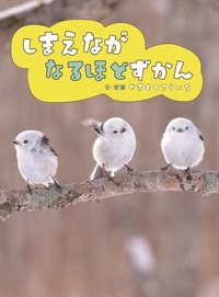 しまえながなるほどずかん