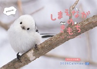 カレンダー2026 しまえながのきもち