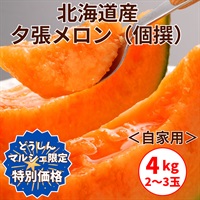 ＜自家用＞夕張メロン 【個撰】4㎏（2～3玉）＜限定100箱・期間限定＞◆共栄水産