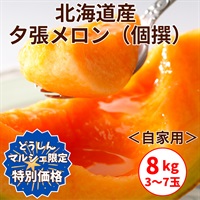 ＜自家用＞夕張メロン【個撰】 8㎏（3～7玉）＜限定100箱・期間限定＞◆共栄水産
