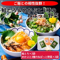 鮭とろ＆めかぶと3種のねばっと野菜　食べ比べセット◆共栄水産