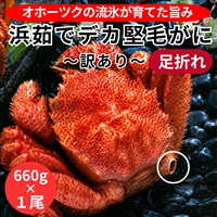 訳あり！北海道オホーツク産浜茹でデカ堅毛がに（足折れ）660g×１尾◆共栄水産