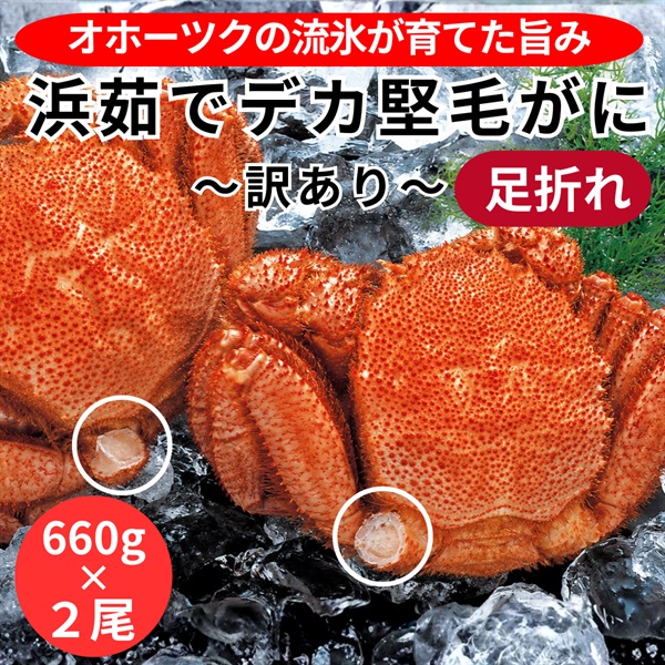 訳あり！北海道オホーツク産浜茹でデカ堅毛がに（足折れ）660g×２尾◆共栄水産