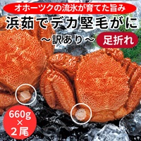 訳あり！北海道オホーツク産浜茹でデカ堅毛がに（足折れ）660g×２尾◆共栄水産