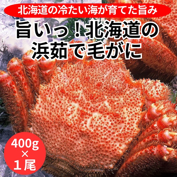 旨いっ！北海道の浜茹で毛がに　400g×１尾◆共栄水産