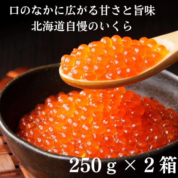 海の宝石 いくら醤油漬け５００ｇ（250ｇ×２）◇北海道マーケティング