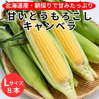 北海道新十津川産　甘いとうもろこし「キャンベラ」（Ｌサイズ８本）◆空知市場