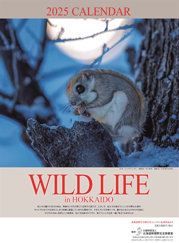 オリジナルカレンダー「WILD LIFE」