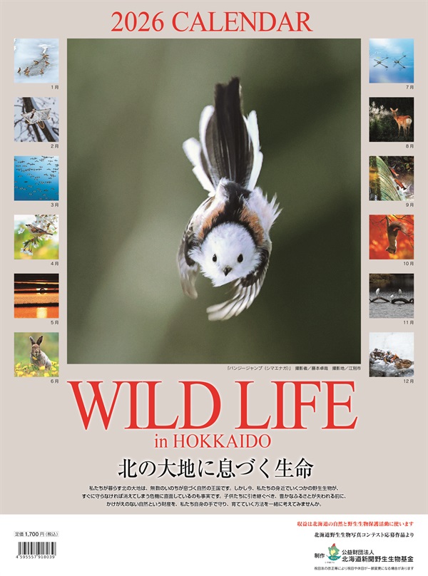 オリジナルカレンダー「WILD LIFE」