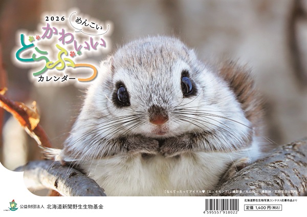 オリジナルカレンダー「かわいいどうぶつシリーズ」