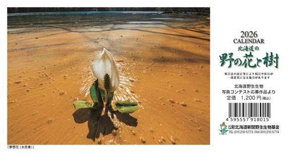 オリジナルカレンダー「野の花と樹」