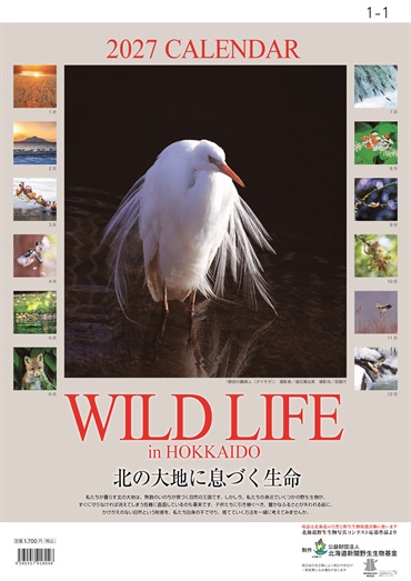 オリジナルカレンダー「WILD LIFE」