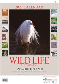 オリジナルカレンダー「WILD LIFE」