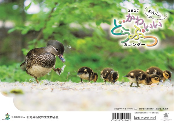 オリジナルカレンダー「かわいいどうぶつシリーズ」